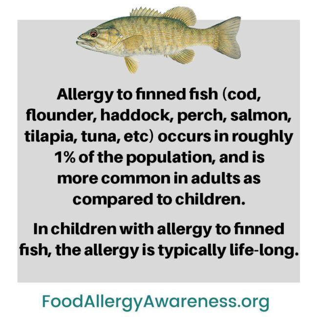 what-causes-allergy-to-fish